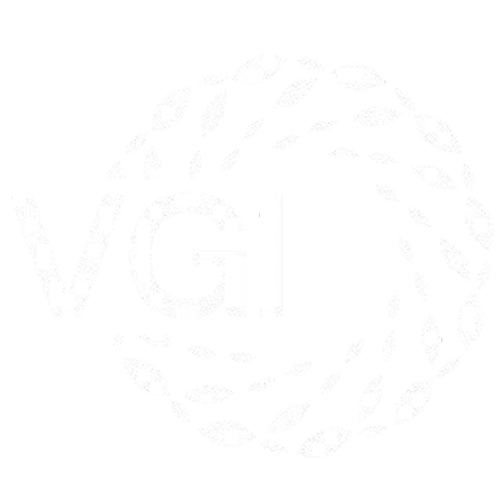 Vitalentra Group International (VGI) Logo